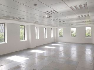 Oficina en alquiler en Almagro en Madrid