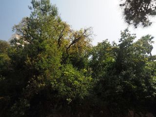 Terreno en venta en Port Esportiu - Puig Rom - Canyelles en Roses