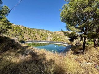 Chalet en venta en Totana