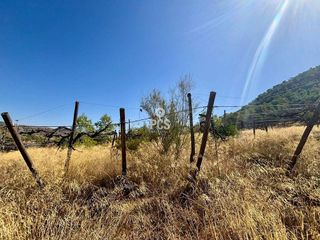 Chalet en venta en Totana