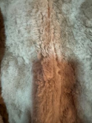 Chaqueta ante beige/marrón