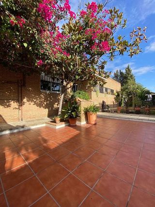 Chalet en venta en Torrequinto en Alcalá de Guadaira