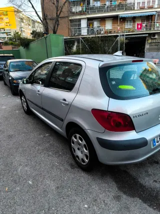 Peugeot 307 2002