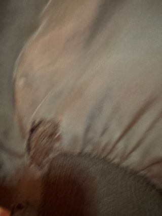 Chaqueta de ante marrón, es unisex, peleteria