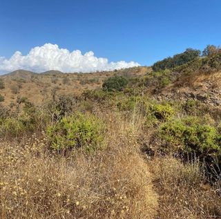 Terreno en venta en Cártama