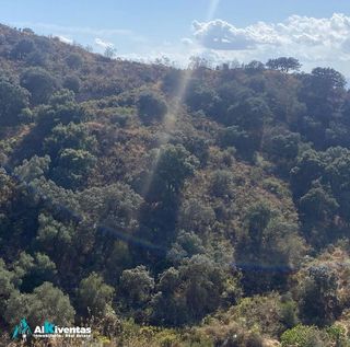 Terreno en venta en Cártama