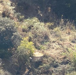 Terreno en venta en Cártama