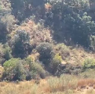 Terreno en venta en Cártama