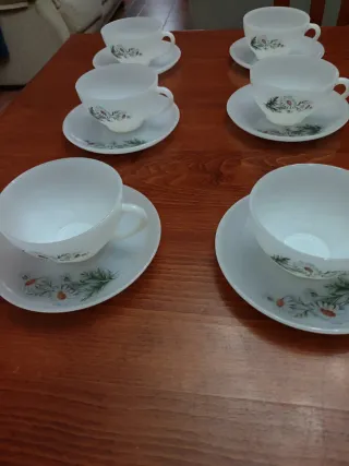 Tazas Arcopal Margaritas