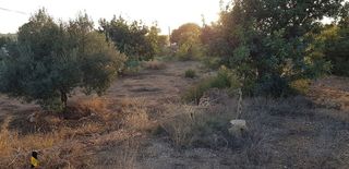 Terreno en venta en Cheste