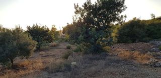 Terreno en venta en Cheste