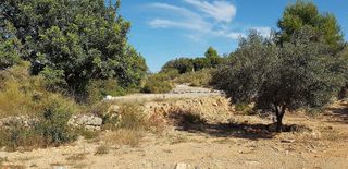 Terreno en venta en Cheste