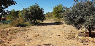 Terreno en venta en Cheste