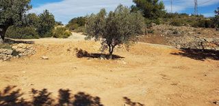 Terreno en venta en Cheste