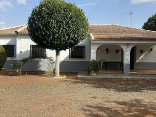 Chalet en venta en Miguelturra