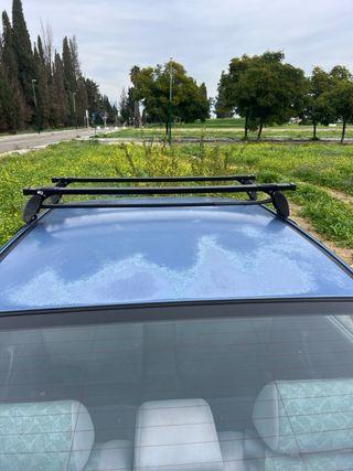 Vaca/ Barras de techo universales