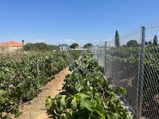 Terreno en venta en Núcleo Urbano en Chiclana de la Frontera