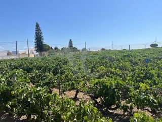 Terreno en venta en Núcleo Urbano en Chiclana de la Frontera