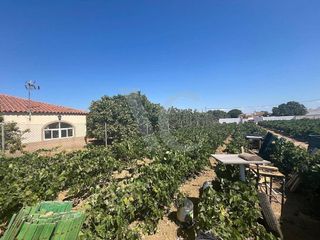 Terreno en venta en Núcleo Urbano en Chiclana de la Frontera