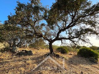 Terreno en venta en Guillena