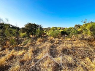 Terreno en venta en Guillena