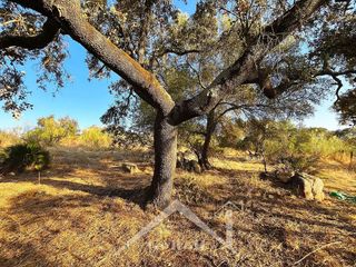 Terreno en venta en Guillena