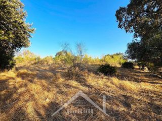 Terreno en venta en Guillena