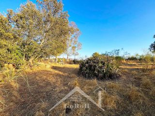 Terreno en venta en Guillena