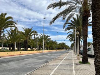 Piso en venta en Carrús Est - Camí dels Magros en Elche