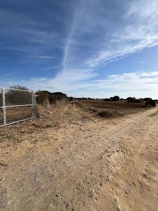 Terreno en venta en Pelagatos - Pago del Humo en Chiclana de la Frontera