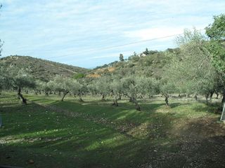Chalet en venta en Ciudad Monumental en Cáceres