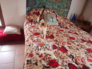 Chalet en venta en Álora