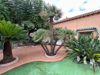 Chalet en venta en Novelda