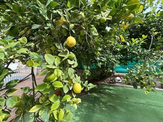 Chalet en venta en Novelda