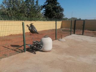 Casa en venta en Carmona