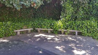 Local comercial en alquiler en San Francisco en Ourense