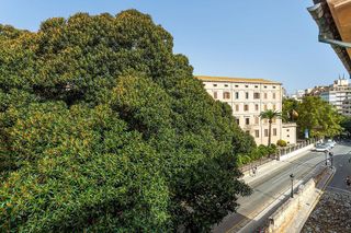 Piso en alquiler en La Llotja - Sant Jaume en Palma de Mallorca