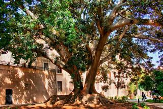 Piso en alquiler en La Llotja - Sant Jaume en Palma de Mallorca