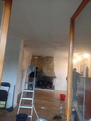 Servicio de pintura profesional