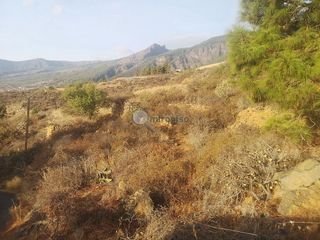 Terreno en venta en Arafo