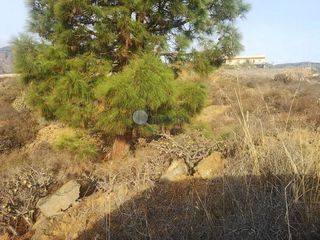 Terreno en venta en Arafo