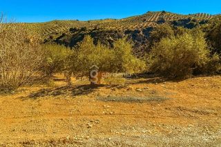 Terreno en venta en Priego de Córdoba