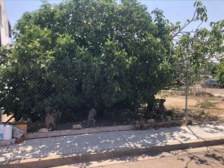 Terreno en venta en Norte en Mérida