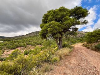 Chalet en venta en Totana