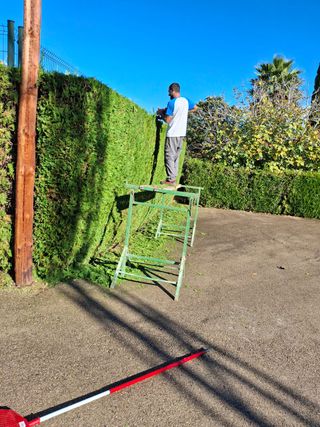 Piscinas, jardines y mantenimiento