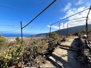 Terreno en venta en Güímar