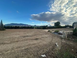 Terreno en venta en Cieza