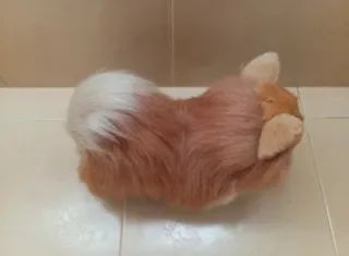 Peluche perro Pomerania muy realista! (NUEVO)