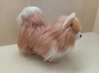 Peluche perro Pomerania muy realista! (NUEVO)