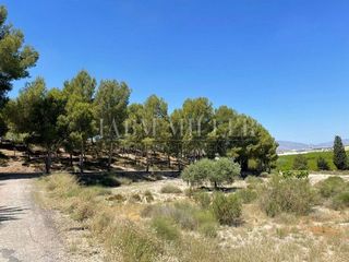 Chalet en venta en El Romeral en Molina de Segura